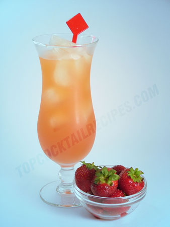 cocktail recipe fruit drink